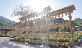 蒙阴县最新爆料,揭秘当地发展新动态与民生改善